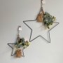 Load image into Gallery viewer, Medium Hanging LED Star with Eucalyptus
