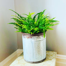 Load image into Gallery viewer, Zinc Planters
