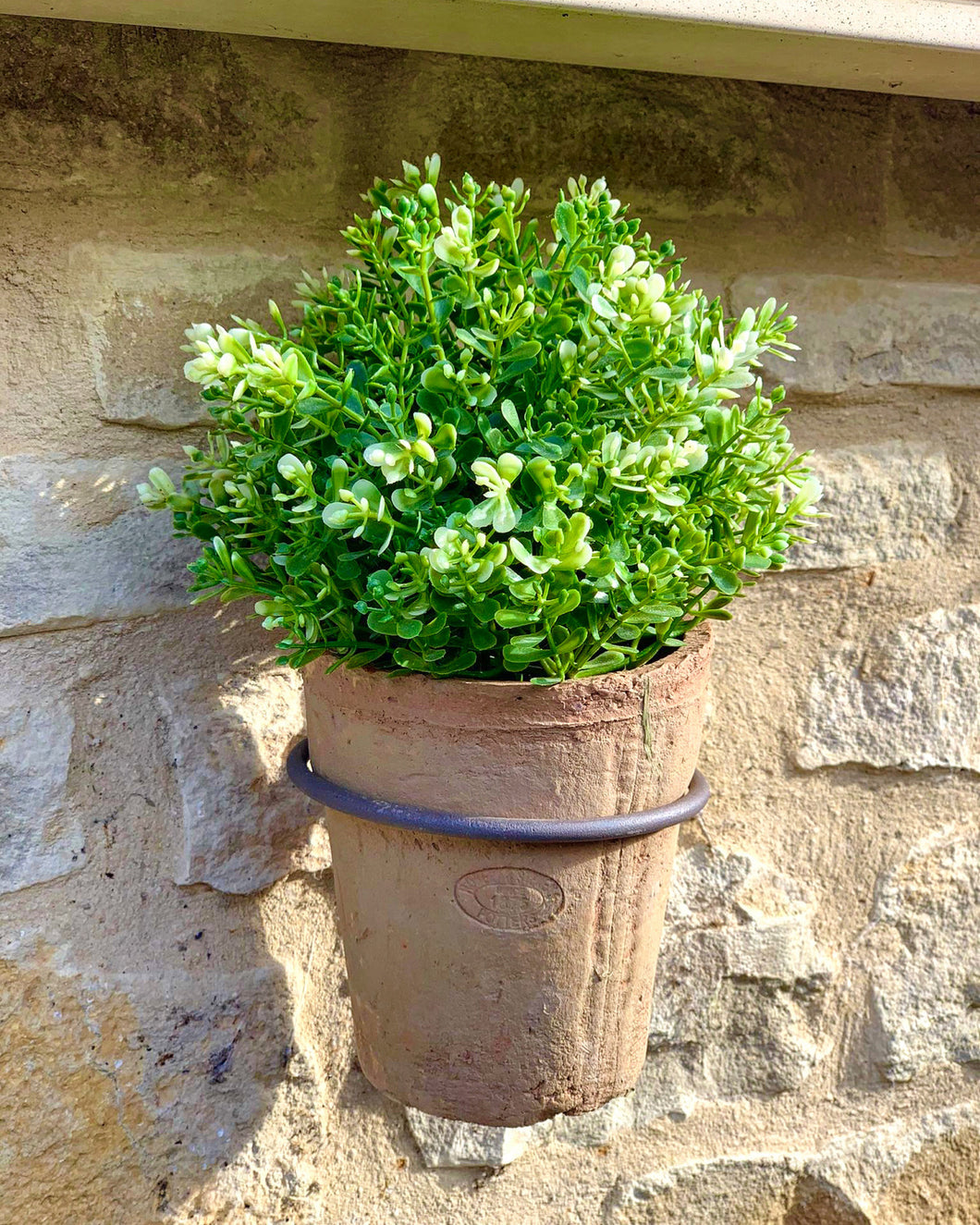 Tall Terracotta Pot in a Metal Wall Holder