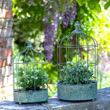 Load image into Gallery viewer, Bird Cage Planter &amp; Bird Feeder
