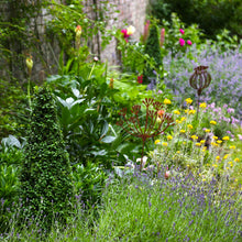 Load image into Gallery viewer, Rusty Fennel Garden Sculpture
