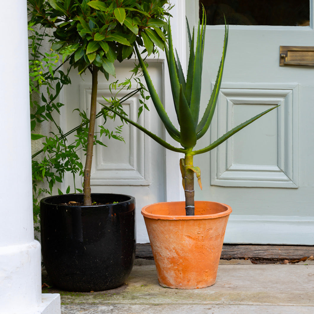 Large Aged Terracotta Pot