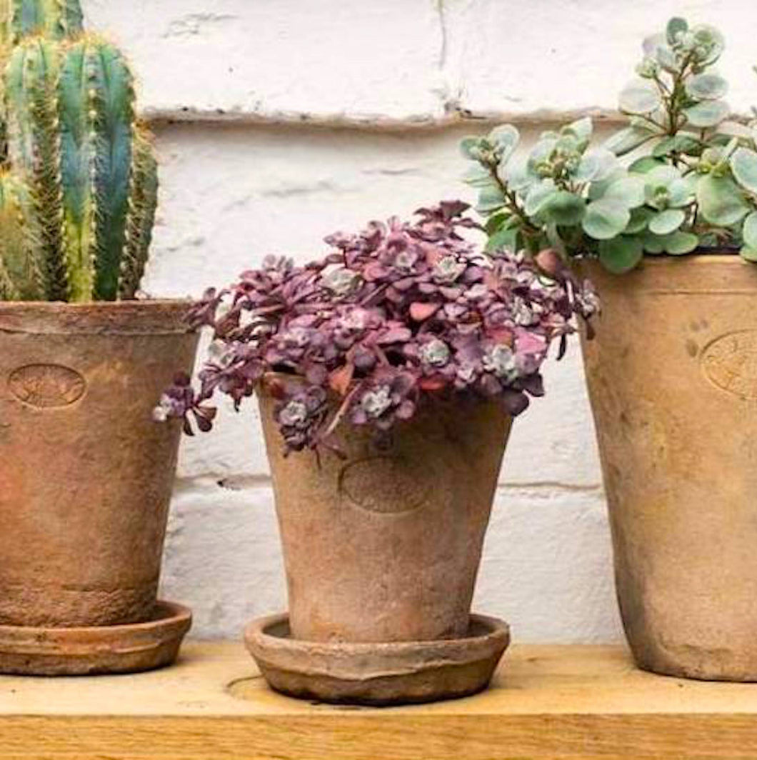Set of Three Handmade Terracotta Pots